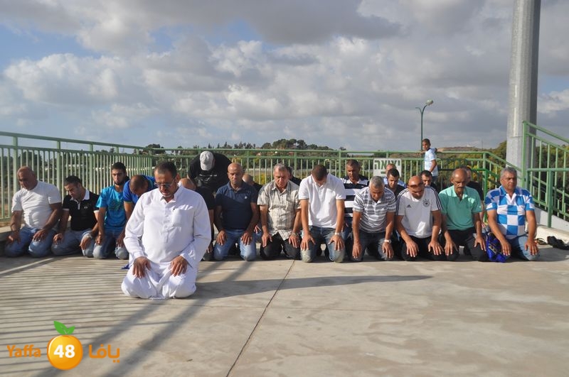 ledawy kora be3na 104 (17).JPG